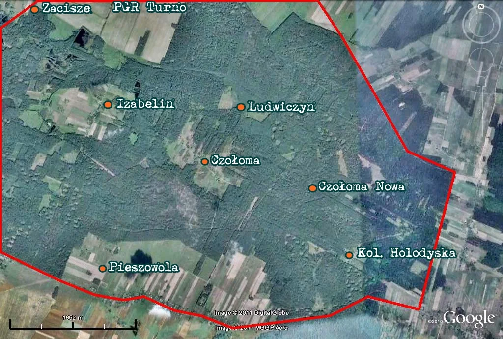 Zdjęcie z galerii
